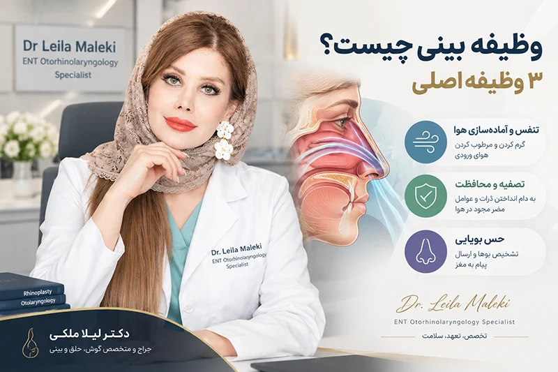 وظیفه بینی چیست؟ 3 وظیفه اصلی