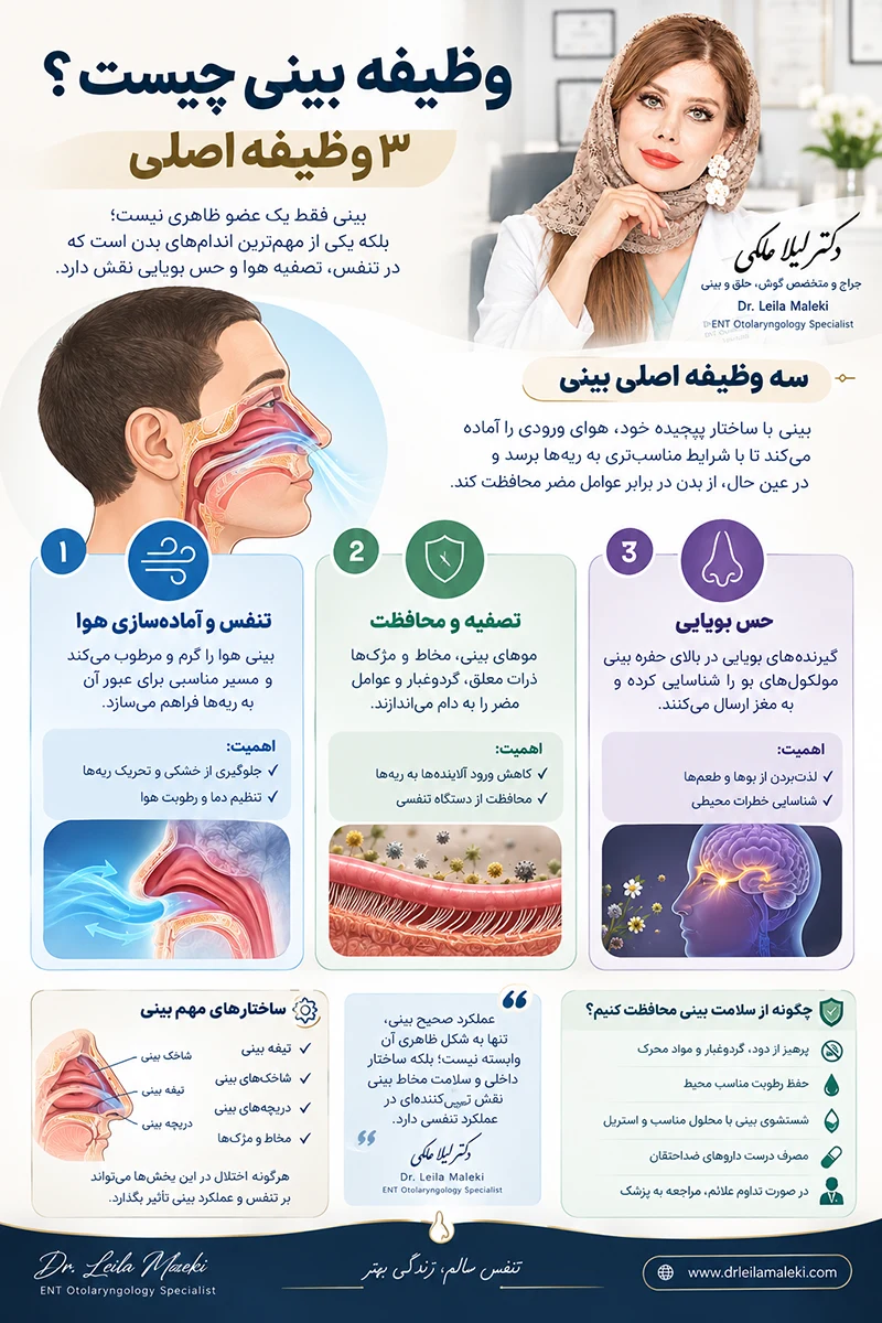 اینفوگرافی وظایف اصلی بینی؛ تنفس، تصفیه هوا و حس بویایی | دکتر لیلا ملکی